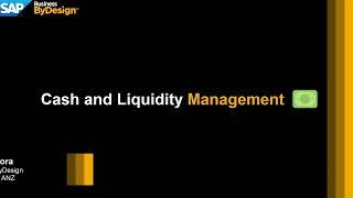 Cash and Liquidity Management Overview in SAP Business ByDesign