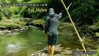 Spot Mancing Liar Paling Recommended di Kota Malang