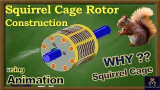 Squirrel Cage Rotor Construction by Animation | Why the Rotor is Called Squirrel Cage? | 3ph SCIM