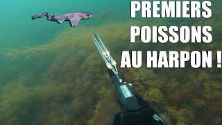 MES PREMIERS POISSONS AU HARPON ! (PÊCHER/CUISINER/MANGER)