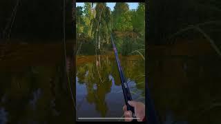 Catching trophy  crucian on a float rodRF4 short #shorts #fishing #gaming