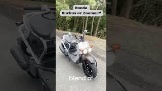 Honda Ruckus or Zoomer NPS50