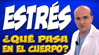 ESTRÉS - ¿Qué pasa dentro del cuerpo de quienes lo padecen?