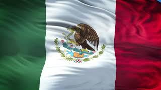 Mexico Flag 5 Minutes Loop - FREE 4k Stock Footage - Realistic Mexican Flag Wave Animation