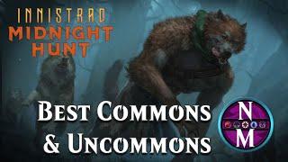 The Best Midnight Hunt Commons & Uncommons | Magic: the Gathering | Nizzanotes #1