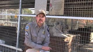 The Truth Behind Nat Geo by Tiger King Joe Exotic