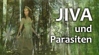 GOR Rassadin: JIVA und Parasiten