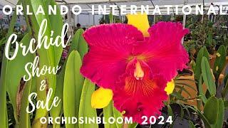 Orlando International Orchid Show & Sale at Orchidsinbloom. November 2024.