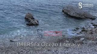 Ocean Literacy with the IMBRSea Master