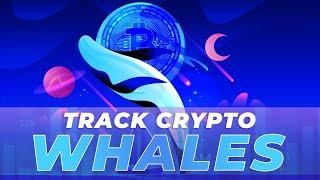 How To Track Crypto Whales (And Profit From Their Trades)