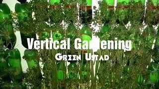 Vertical Gardening | Plastic Bottles | Hanging Wall | DiY | Green Ustad