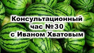 Консультационный час 30 (4 июля 2024)