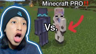 Fighting a Minecraft PRO!