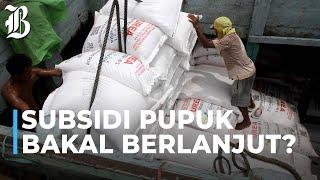 Pemerintah Ganti Subsidi Pupuk dengan Bantuan Tunai