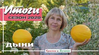 Дыни 2020. Итоги замечательного сезона