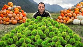 Mountain Secrets: Cooking Pilaf with Fresh Pumpkin & Chestnuts!