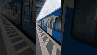 Regionalbahn Regionaltrain Germany railways orginal tone #youtube #trainvideo #funny #travel #züge