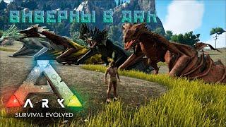 Виверны в Арк | Как вырастить виверну ?|Как украсть яйцо виверны ?|ARK Survival Evolved