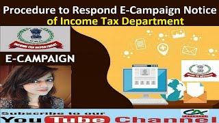 Procedure to Respond E-Campaign Notice of Income Tax Department | How to Respond E-Campaign Notice