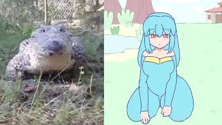 cute croc videos but it's animated