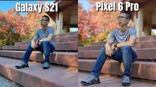 Pixel 6 Pro vs Samsung Galaxy S21 Camera Comparison