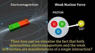 The Electroweak interaction: The unification of the electromagnetic and the weak interactions