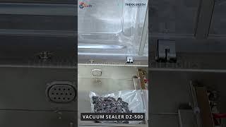 Vacuum Sealer DZ 500 01  l  Food Vacuum Packing Machine  l  Best Sealing Machine