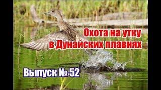 Охота на утку в Дунайских плавнях  | Выпуск №52 (UKR)