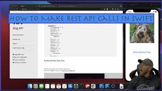 How to Make a REST API Call in Your Swift App