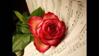 Canon in D Orchestra - Pachelbel repeat 1 hour music