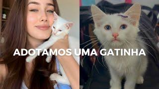 VLOG: a família cresceu, adotamos uma gatinha