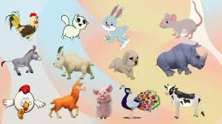 Animals for Kids 25 min Farm animal sound             Kids Animation