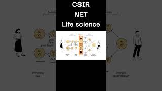 Sex determination CSIR NET Life Science #csirnet #shorts