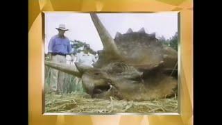 66th Oscars Best Visual Effects Category (Jurassic Park Wins)