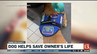 Service Dog Saves Life