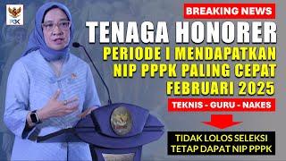 HONORER TIDAK LOLOS SELEKSI TETAP DAPAT NIP PPPK 2024