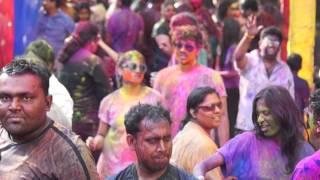 Indian Holi Special Celebration - Thrilling News India