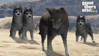 GTA 5 WOLF PACK MOD! - ALPHA WOLF HUNTING (GTA 5 Mods)