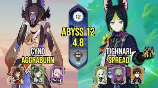 C0 Cyno AggraBurn & C4 Tighnari Spread | Spiral Abyss 4.8 | Genshin Impact