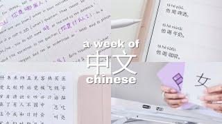 my weekly chinese study routine | how I study beginner chinese | HSK 1 level