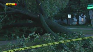 Local 5 This Morning: Green Bay Storm Damage 6 a.m.