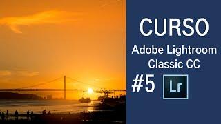  Curso GRATIS  Adobe Lightroom CC  #5 Pinceles y Degradado.