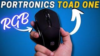 Should You Buy This Budget Mouse ?