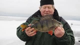 Зимняя рыбалка на просторах Онежского озера. Ловля окуня, налима, сига. База “Форпост Онега”.
