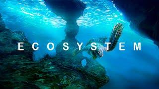 СОЗДАЕМ ЧУДИЩ! - ECOSYSTEM ПРОХОЖДЕНИЕ