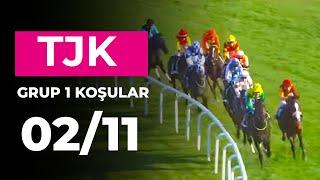 Cumhurbaşkanlığı Koşusu (Grup - 1) 02/11/2024