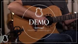 Somogyi Mod-D Cutaway, Brazilian Rosewood | Lance Allen