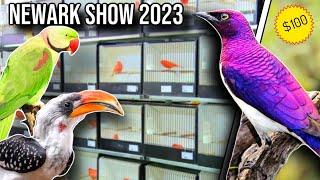 Newark Bird Sale - October 2023