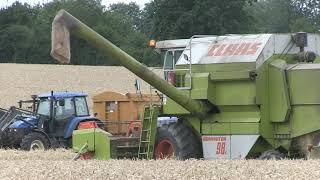 CLAAS DOMINATOR 98S HARVESTING WHEAT