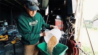 Joel Salatin Chicken Feed Mix